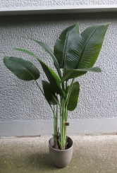 018 veštačka stabla banane